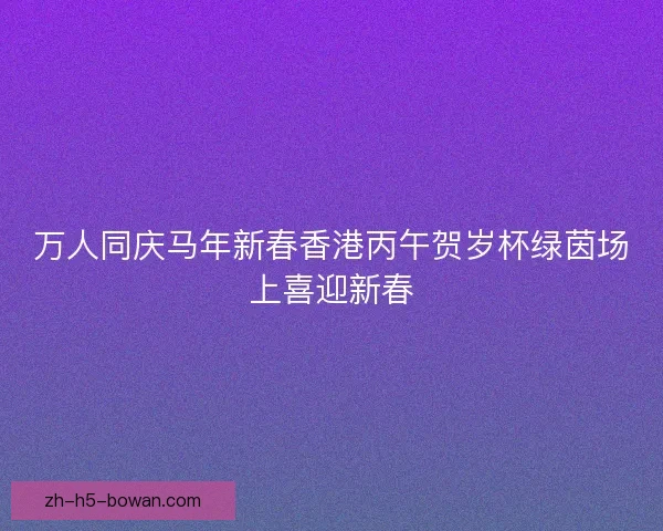 万人同庆马年新春香港丙午贺岁杯绿茵场上喜迎新春